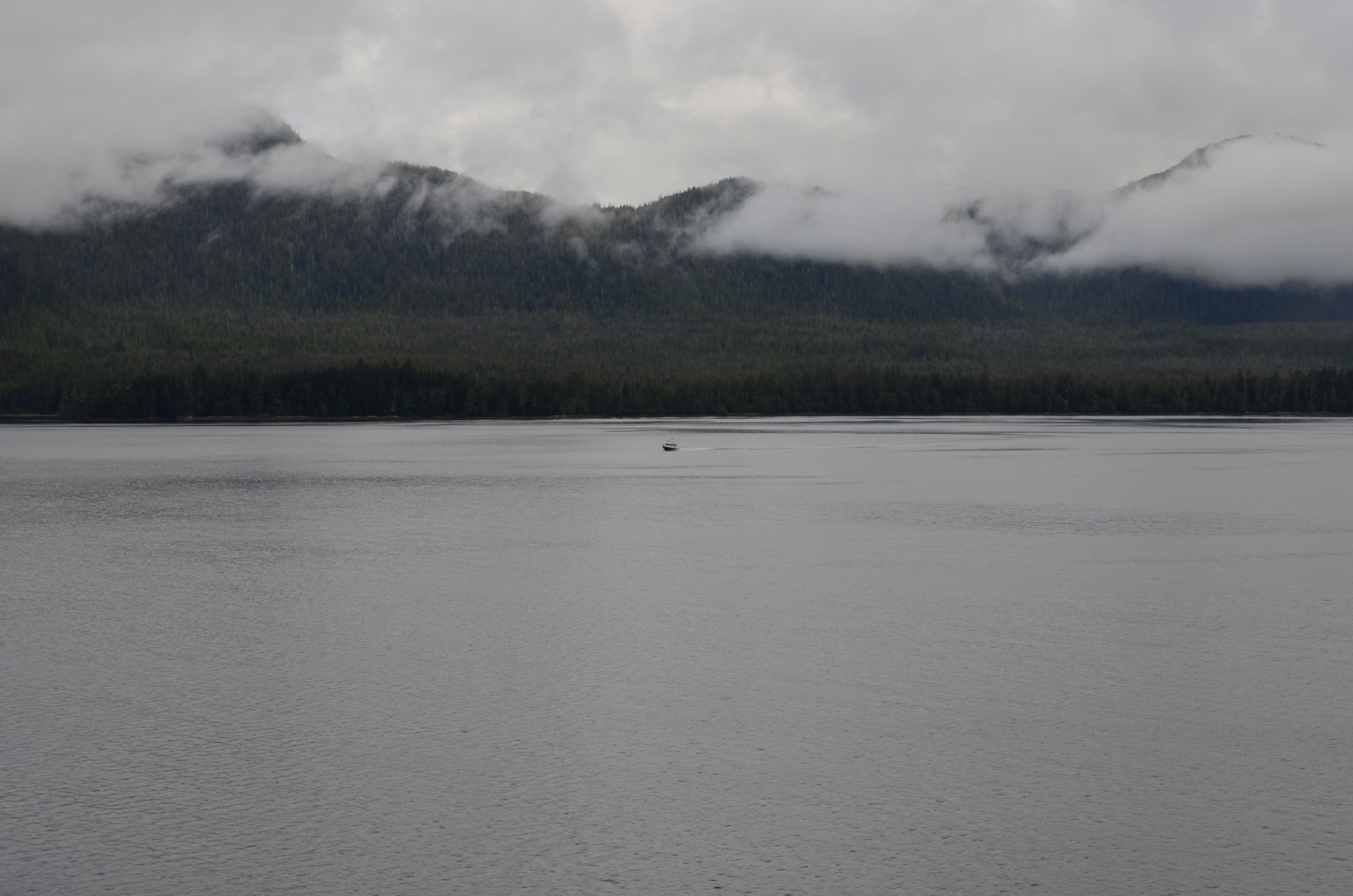 ./2017/08 - Alaska Cruise/11 - Ketchikan/DSC_0549.JPG